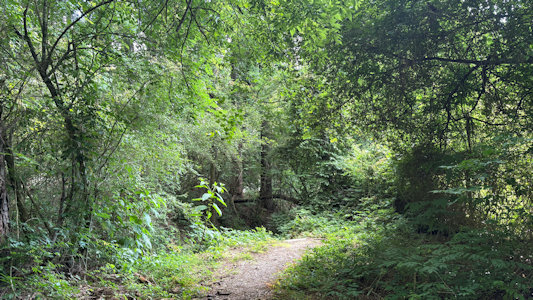 NPS Image